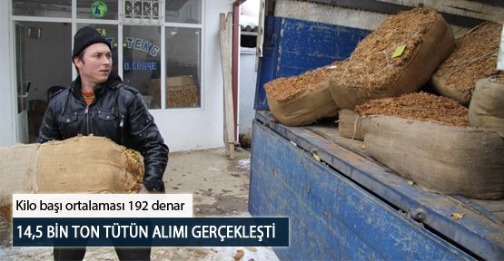 14,5 Bin Ton Tütün Alımı Gerçekleşti
