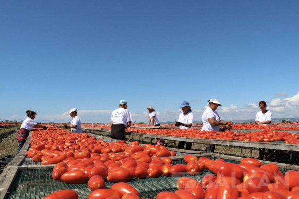 ‘Açık Balkan’ ülkeleri arasında ticaret hacmi arttı