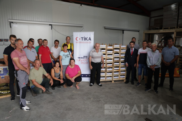 TİKA’dan Bosna Hersek’te çilek yetiştiriciliğine destek