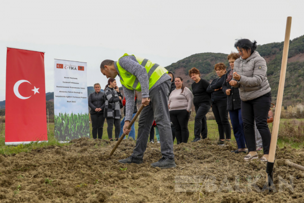 TİKA’dan Arnavutluk’taki 26 aileye tarımsal destek