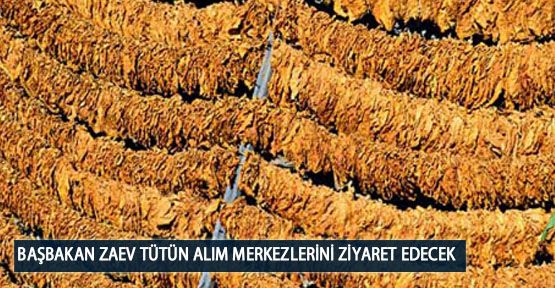 Başbakan Zaev Tütün Alım Merkezlerini Ziyaret Edecek