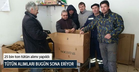 Tütün Alımları Bugün Sona Eriyor
